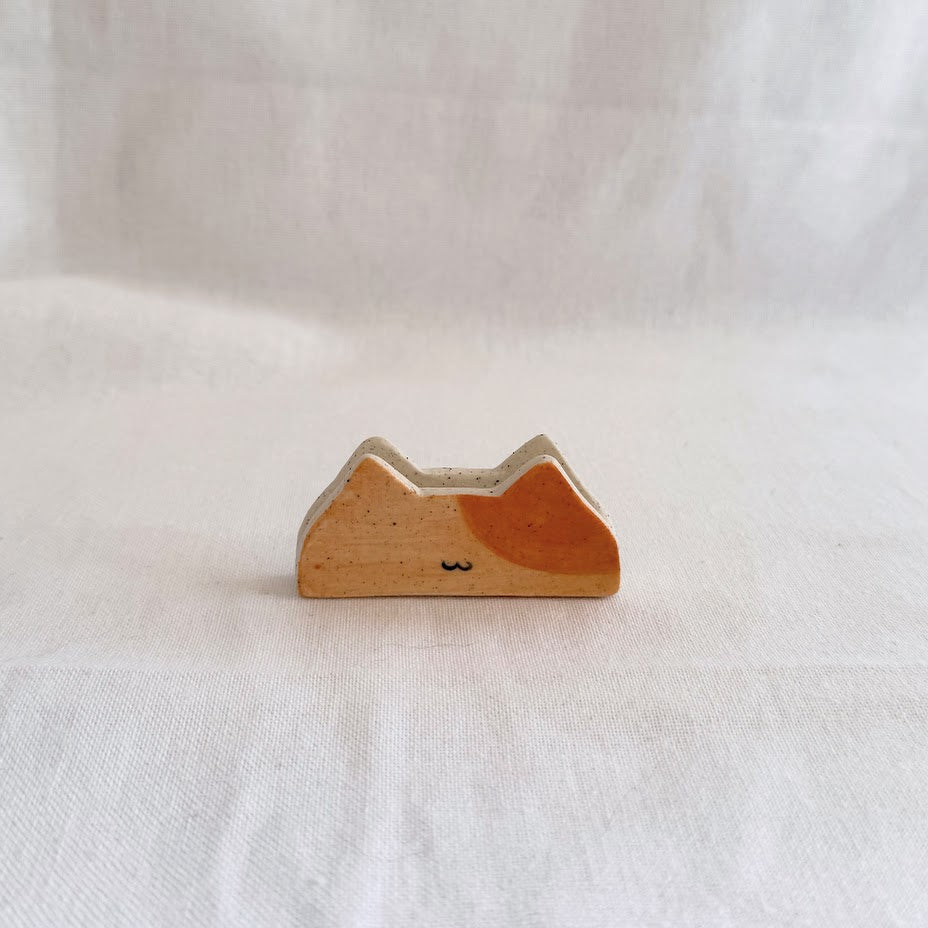 Polaroid Holder