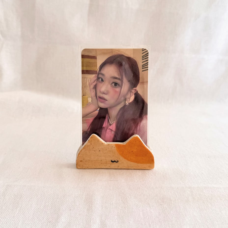 Polaroid Holder