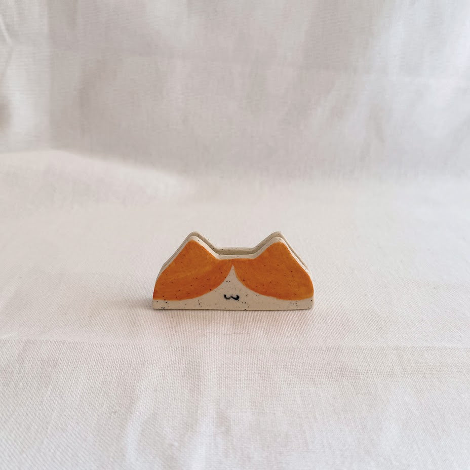 Polaroid Holder