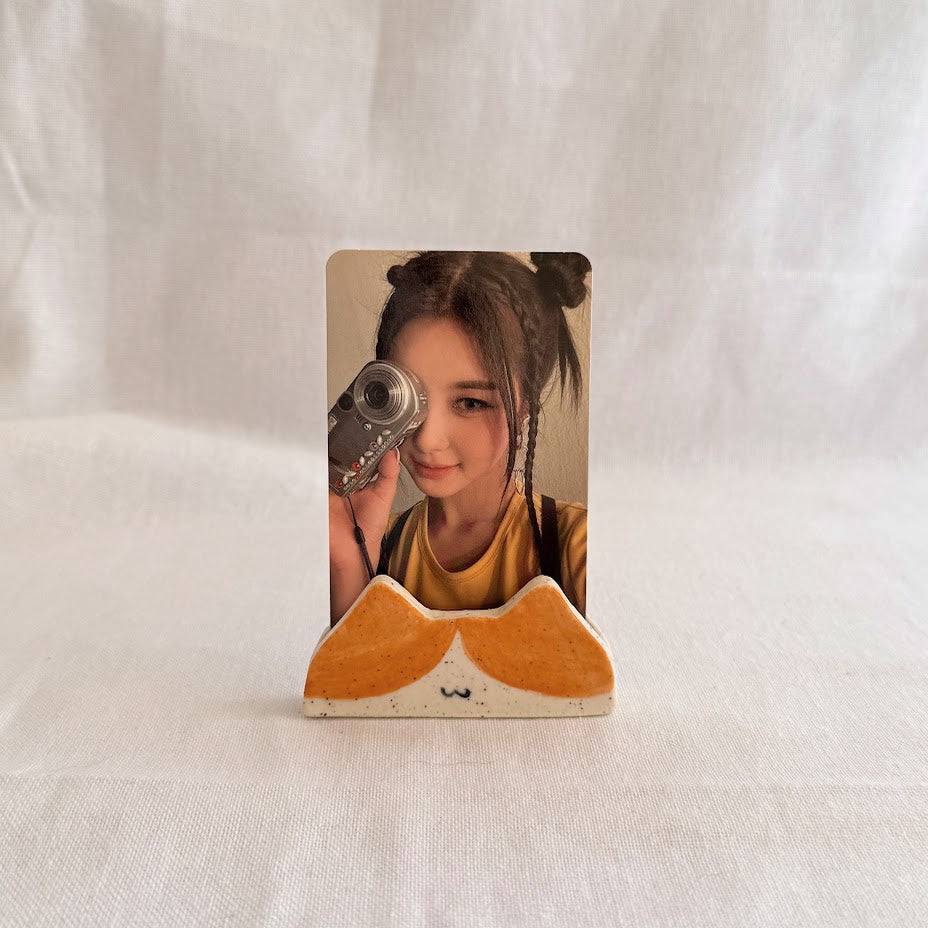 Polaroid Holder